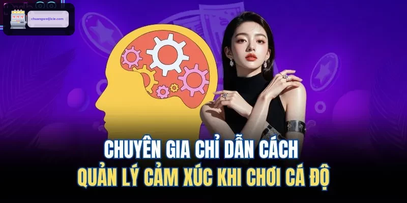 Chuyên gia chỉ dẫn cách quản lý cảm xúc khi chơi cá độ
