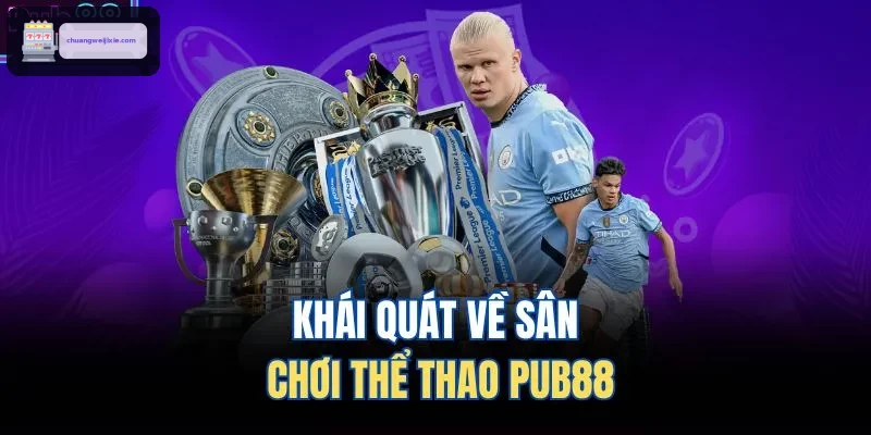 Khái quát về sân chơi thể thao WIN888