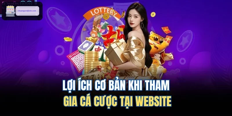 Lợi ích cơ bản khi tham gia cá cược tại website