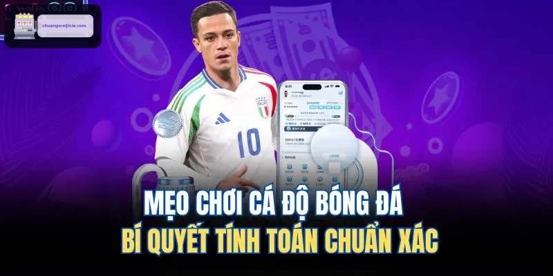 Mẹo Chơi Cá Độ Bóng Đá