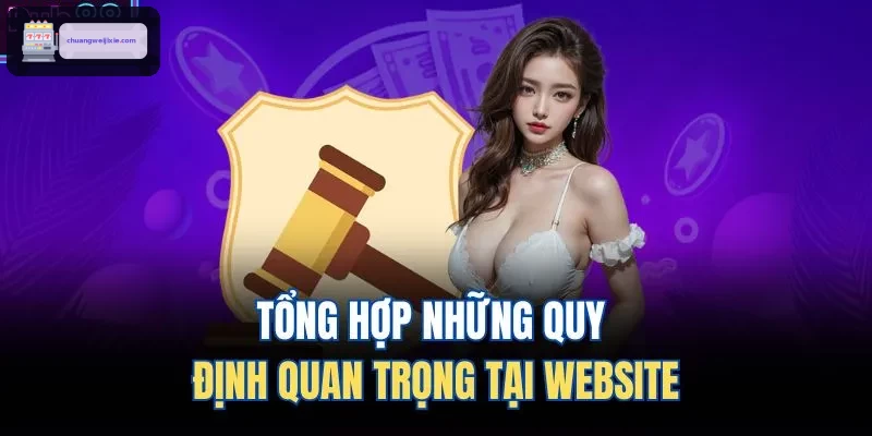 Tổng hợp những quy định quan trọng tại website